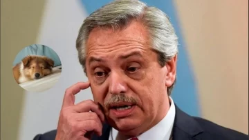 Alberto Fernández reapareció en redes y presentó a Lennon, su nuevo perro