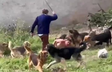 Tras el ataque de perros, “Cachito” volvió a quedar detenido