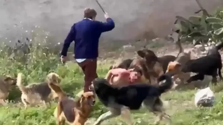 Tras el ataque de perros, “Cachito” volvió a quedar detenido