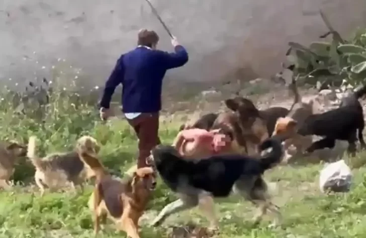 Tras el ataque de perros, “Cachito” volvió a quedar detenido