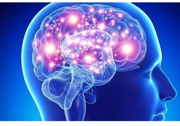 Cómo el cerebro “se quiebra” frente a la ansiedad y el estrés postraumático: el aporte de la neurociencia y la IA