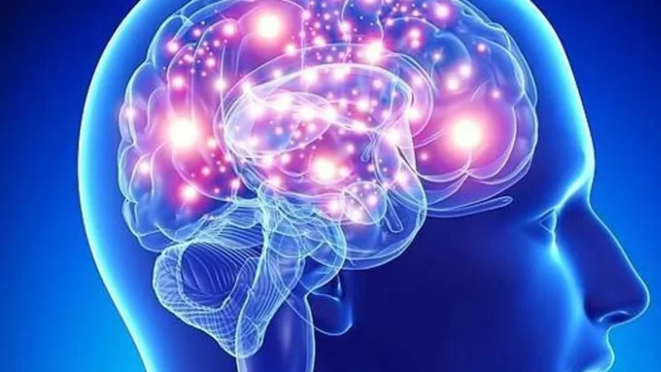 Cómo el cerebro “se quiebra” frente a la ansiedad y el estrés postraumático: el aporte de la neurociencia y la IA