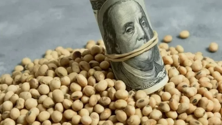 El campo marcó récord de exportaciones y alcanzó el 60% del cupo con retenciones cero en apenas tres días