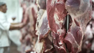 El Gobierno aclaró que mantiene las retenciones cero para las carnes hasta fin de octubre