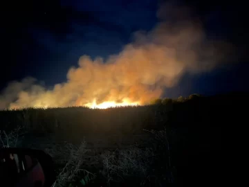 Incendio de cañaverales generó alarma en Santa Rosa de Leales Incendio de cañaverales generó alarma en Santa Rosa de Leales