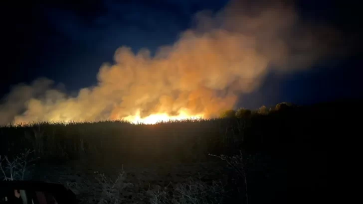 Incendio de cañaverales generó alarma en Santa Rosa de Leales