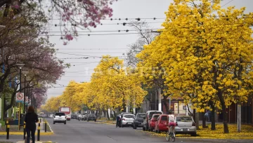 El clima empieza a mostrar señales de primavera en Tucumán