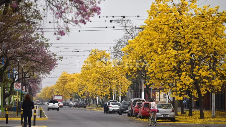 El clima empieza a mostrar señales de primavera en Tucumán