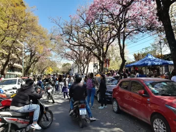 Alumna de 9 años internada tras un intento de suicidio: denuncian bullying en una escuela de Capital