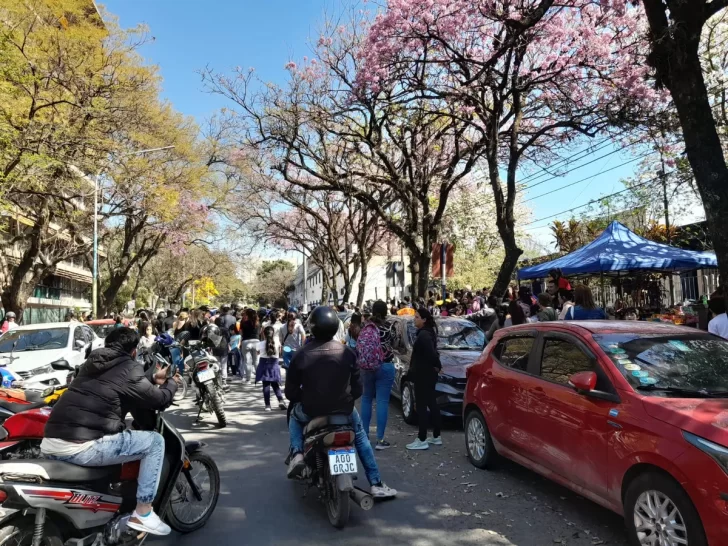 Alumna de 9 años internada tras un intento de suicidio: denuncian bullying en una escuela de Capital