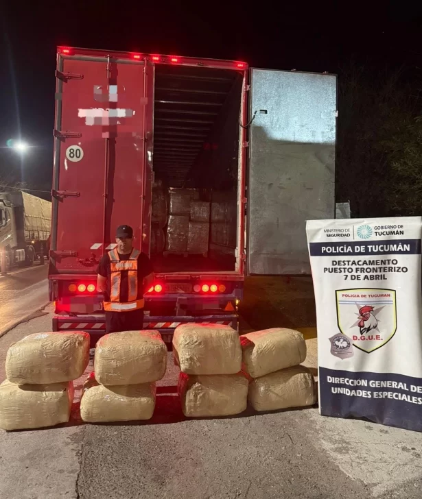 Secuestran 160 kilos de hojas de coca en rutas nacionales