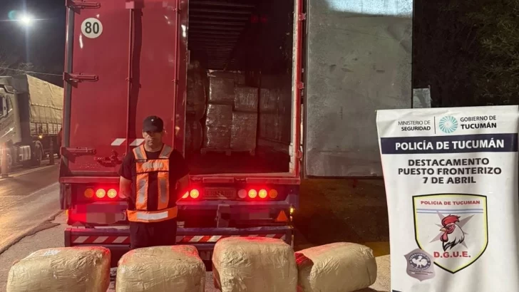 Secuestran 160 kilos de hojas de coca en rutas nacionales