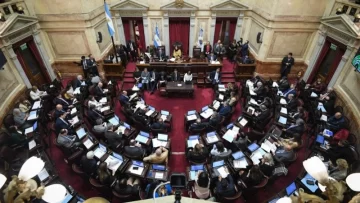 Senado: la oposición dejó sin efecto el veto de Milei y reactivó la ley de emergencia en discapacidad