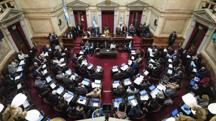 Senado: la oposición dejó sin efecto el veto de Milei y reactivó la ley de emergencia en discapacidad