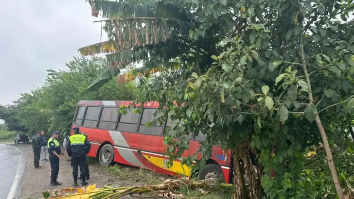 Un colectivo sufrió un accidente en la ruta 301