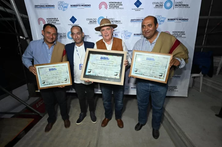 251011002900_77844-728x485