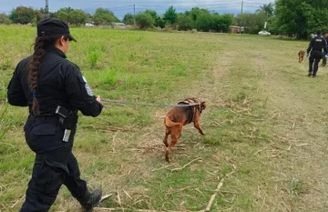 Dos canes de la Policía de Tucumán hallaron a una mujer desaparecida en Lules