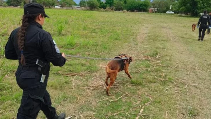 Dos canes de la Policía de Tucumán hallaron a una mujer desaparecida en Lules