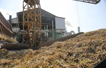 La zafra tucumana alcanza el 99% de avance