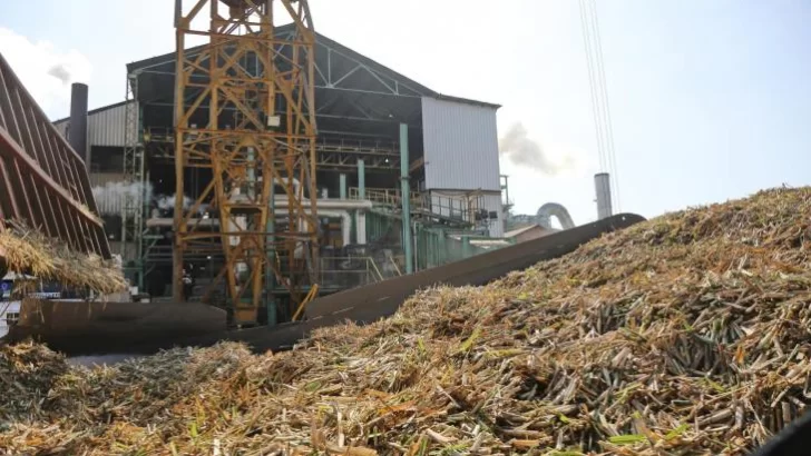 La zafra tucumana alcanza el 99% de avance