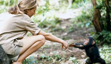 Murió Jane Goodall, la reconocida defensora de los derechos de los animales