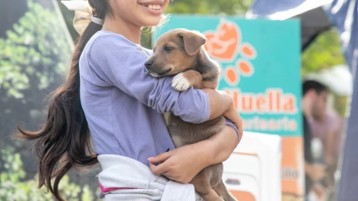 Yerba Buena: el tráiler veterinario se traslada a Cariola y Tierra del Fuego