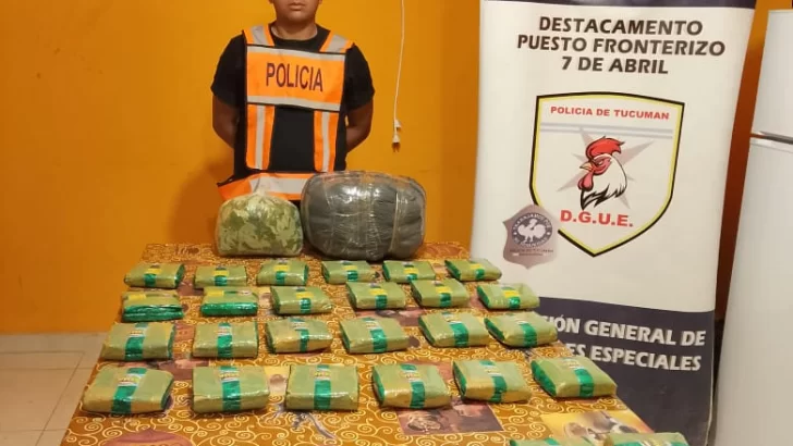 Secuestraron 80 kilos de hojas de coca en puestos fronterizos