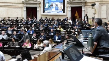Diputados convocó a sesión especial para debatir reforma del régimen de DNU y remoción de José Luis Espert