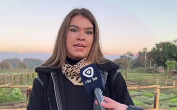 Mal Olor: atribuyen el fenómeno a procesos industriales y aseguran que pronto disminuirá