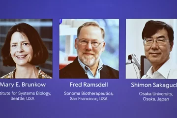 El Nobel de Medicina 2025 premió a tres científicos por sus avances en el control del sistema inmunitario