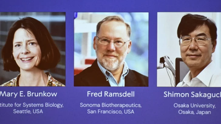 El Nobel de Medicina 2025 premió a tres científicos por sus avances en el control del sistema inmunitario