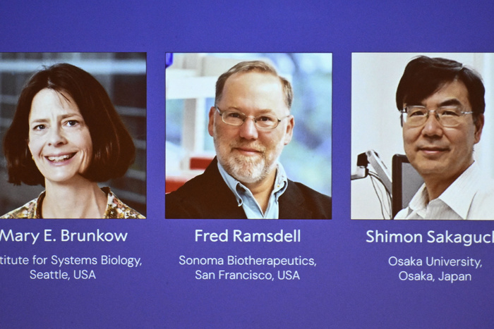 El Nobel de Medicina 2025 premió a tres científicos por sus avances en el control del sistema inmunitario