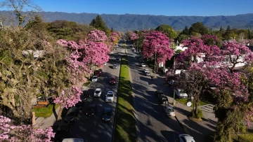 Yerba Buena se prepara para vivir cuatro días de arte, sustentabilidad y movimiento cultural Yerba Buena se prepara para vivir cuatro días de arte, sustentabilidad y movimiento cultural