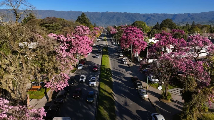 Yerba Buena se prepara para vivir cuatro días de arte, sustentabilidad y movimiento cultural