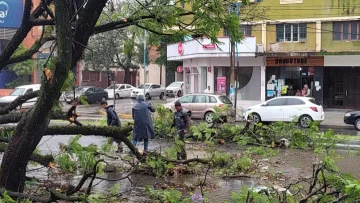 El viento ocasionó voladuras de techos y caída de árboles en distintas zonas de la provincia
