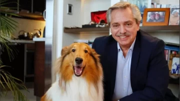 Murió Dylan, el perro que acompañó la presidencia de Alberto Fernández