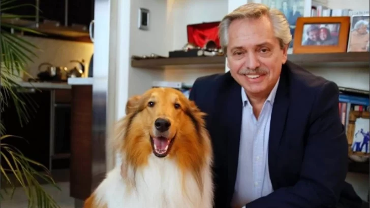Murió Dylan, el perro que acompañó la presidencia de Alberto Fernández