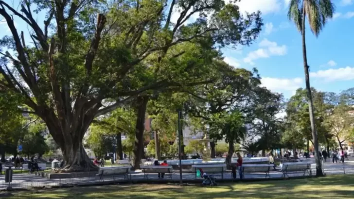 Calor en aumento: el pronóstico para este lunes en Tucumán