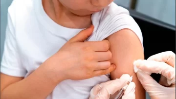 Más casos de tuberculosis, sífilis, tos convulsa, meningitis y sarampión: “Hay que volver a vacunar en las escuelas” Más casos de tuberculosis, sífilis, tos convulsa, meningitis y sarampión: “Hay que volver a vacunar en las escuelas”