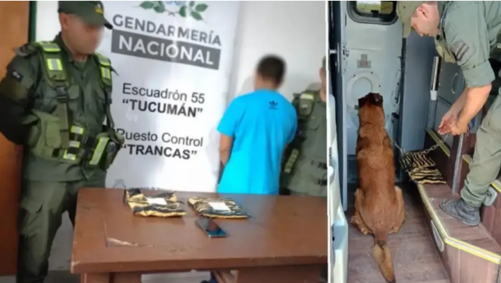 Encontraron más de un kilo de cocaína oculto en el baño de un micro