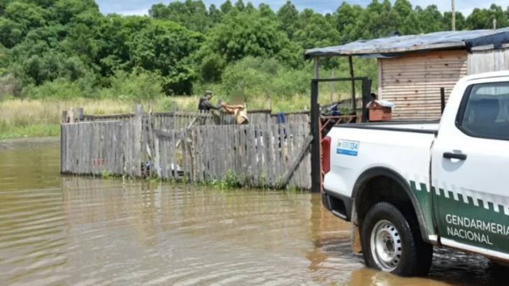 Inundaciones en Corrientes: cayeron casi 500 mililitros de agua en una semana y ya hay más de 400 evacuados Inundaciones en Corrientes: cayeron casi 500 mililitros de agua en una semana y ya hay más de 400 evacuados