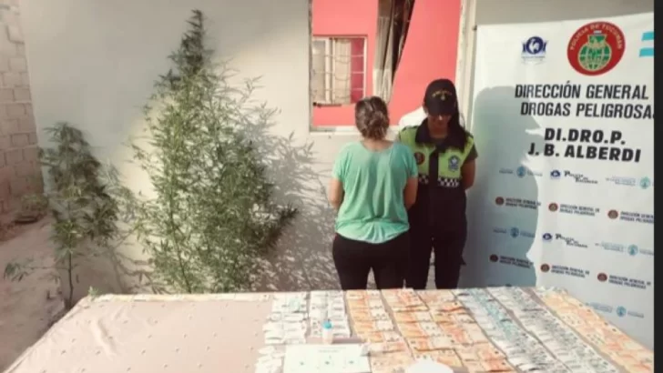 Cae una red de narcomenudeo tras operativos en Alberdi y Graneros