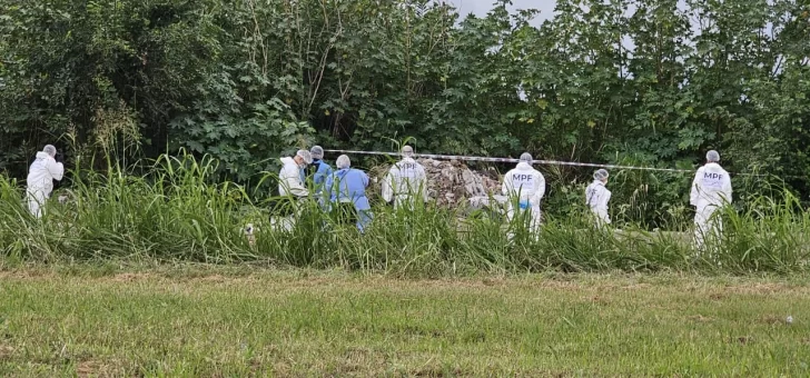 erika-alvarez-728x340 erika-alvarez-728x340