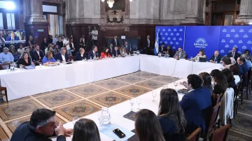 Hay dictamen y el Senado convertirá la reforma laboral en ley la próxima semana Hay dictamen y el Senado convertirá la reforma laboral en ley la próxima semana