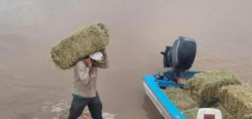 Realizan un operativo integral para rescatar animales de pastoreo en el sur tucumano Realizan un operativo integral para rescatar animales de pastoreo en el sur tucumano