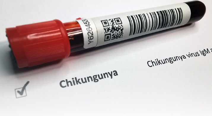 Los casos de chikungunya se concentran en el sudeste de la capital Los casos de chikungunya se concentran en el sudeste de la capital