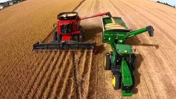 La economía creció 4,4% durante 2025, con sectores que se expandieron y otros que cayeron La economía creció 4,4% durante 2025, con sectores que se expandieron y otros que cayeron