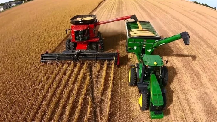 La economía creció 4,4% durante 2025, con sectores que se expandieron y otros que cayeron La economía creció 4,4% durante 2025, con sectores que se expandieron y otros que cayeron