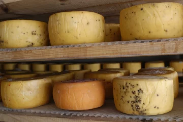 El queso de Tafí del Valle obtuvo la Indicación Geográfica y hace historia en el país El queso de Tafí del Valle obtuvo la Indicación Geográfica y hace historia en el país