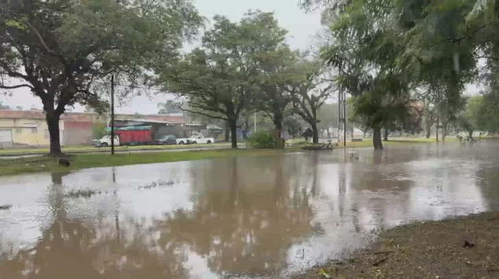 Un fuerte temporal azotó a Tucumán: calles anegadas, rutas cortadas y familias evacuadas Un fuerte temporal azotó a Tucumán: calles anegadas, rutas cortadas y familias evacuadas